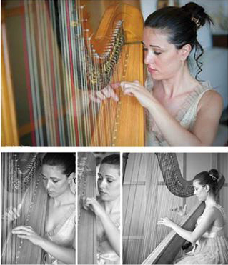 adriana nicolosi contatti